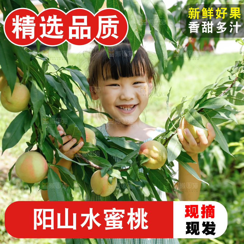 手里拿着现摘水蜜桃