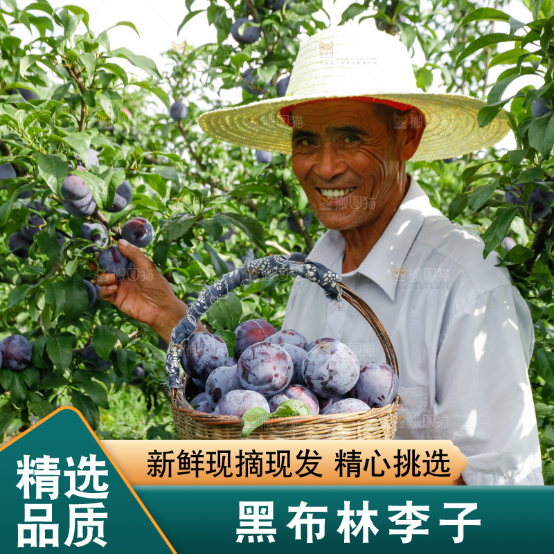 新鲜现摘黑布林