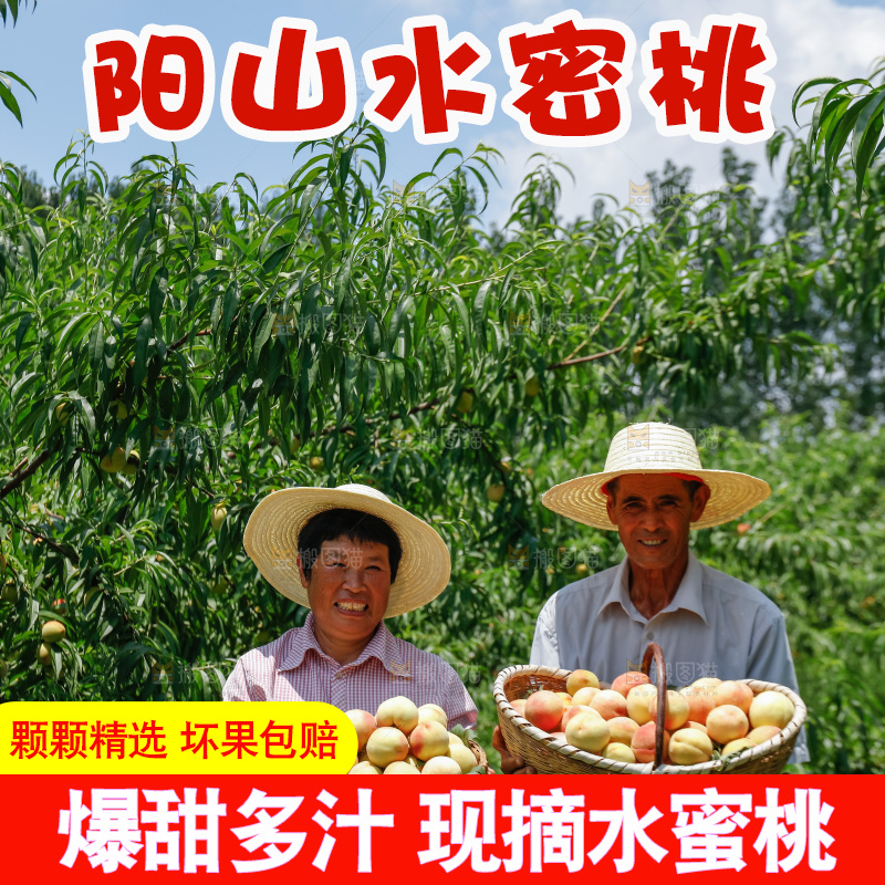 手里拿着现摘水蜜桃