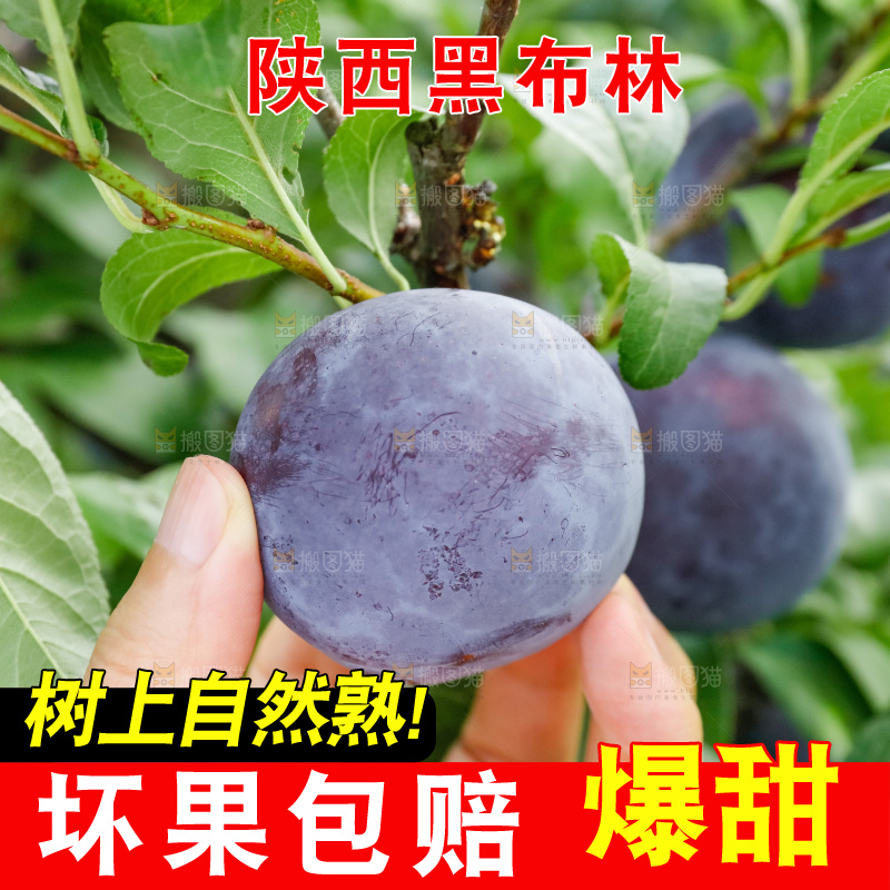 新鲜现摘黑布林