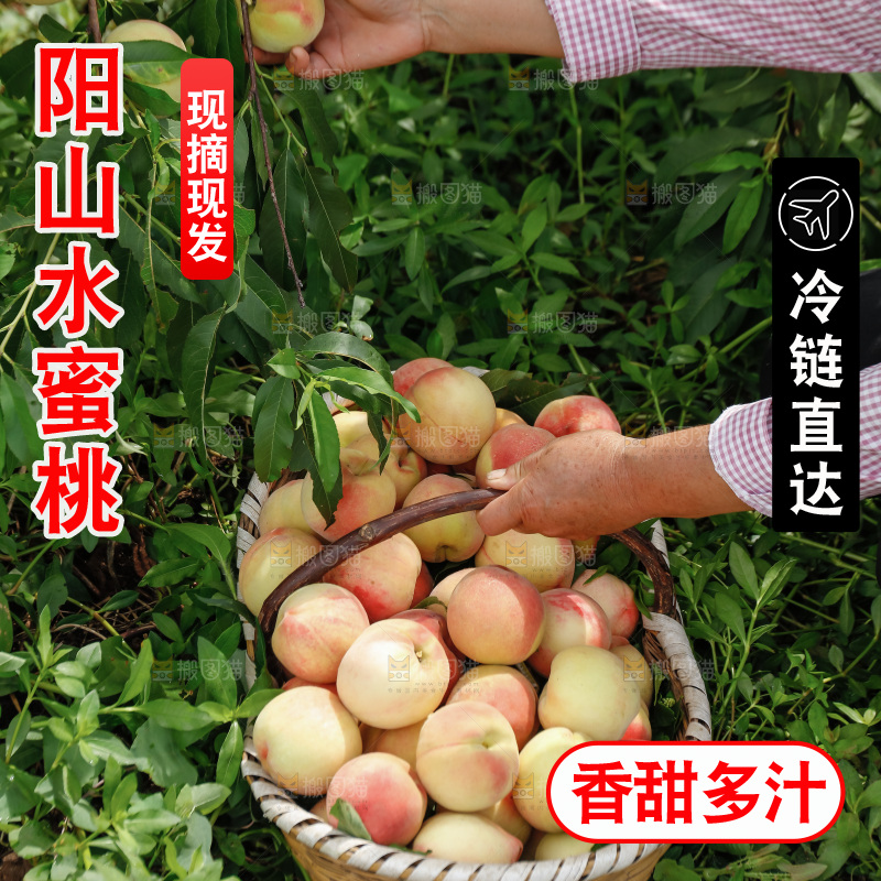 手里拿着现摘水蜜桃