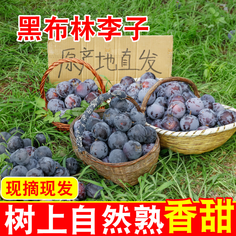 新鲜现摘黑布林