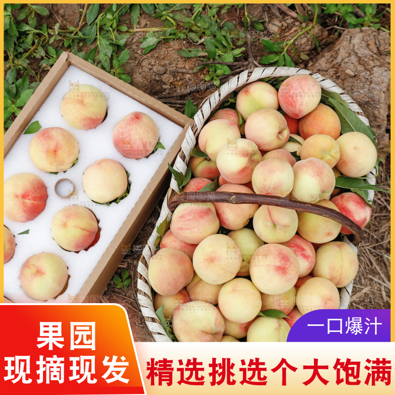 手里拿着现摘水蜜桃