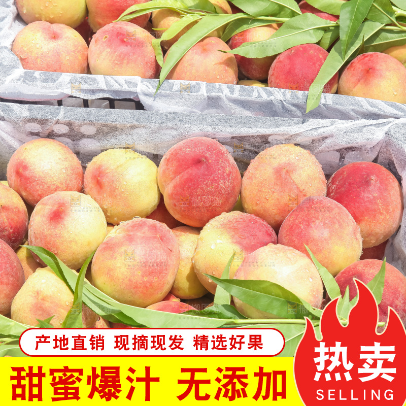 手里拿着现摘水蜜桃