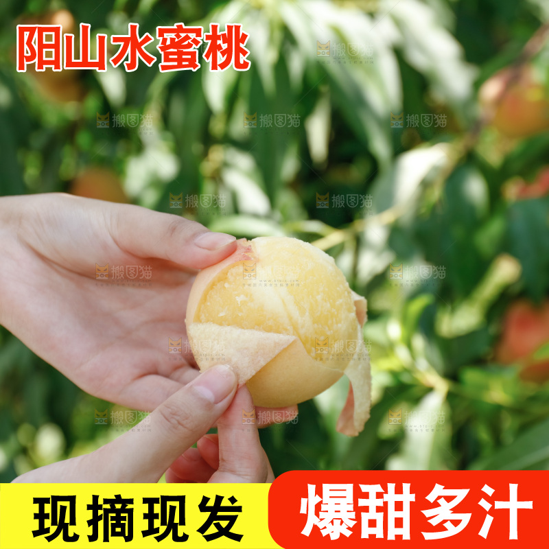 手里拿着现摘水蜜桃