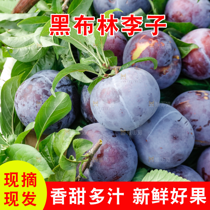 新鲜现摘黑布林