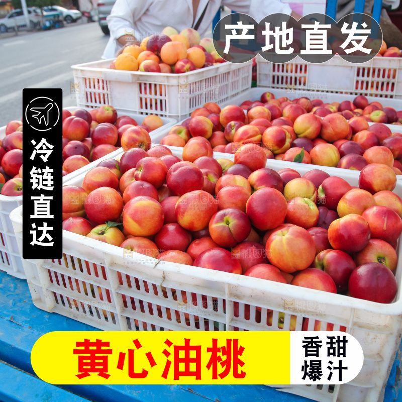 现摘的新鲜黄心油桃
