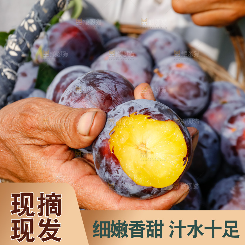 新鲜现摘黑布林