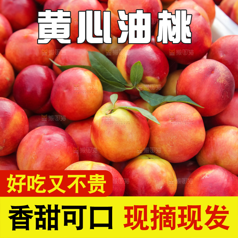 现摘的新鲜黄心油桃