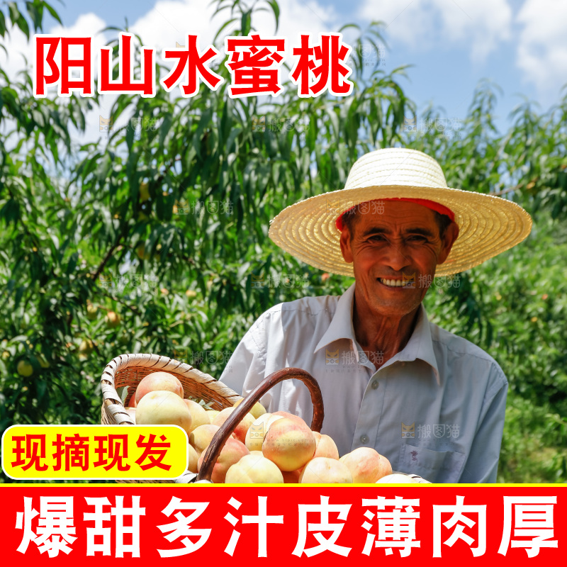 手里拿着现摘水蜜桃