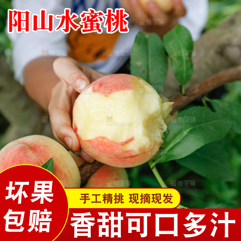 手里拿着现摘水蜜桃
