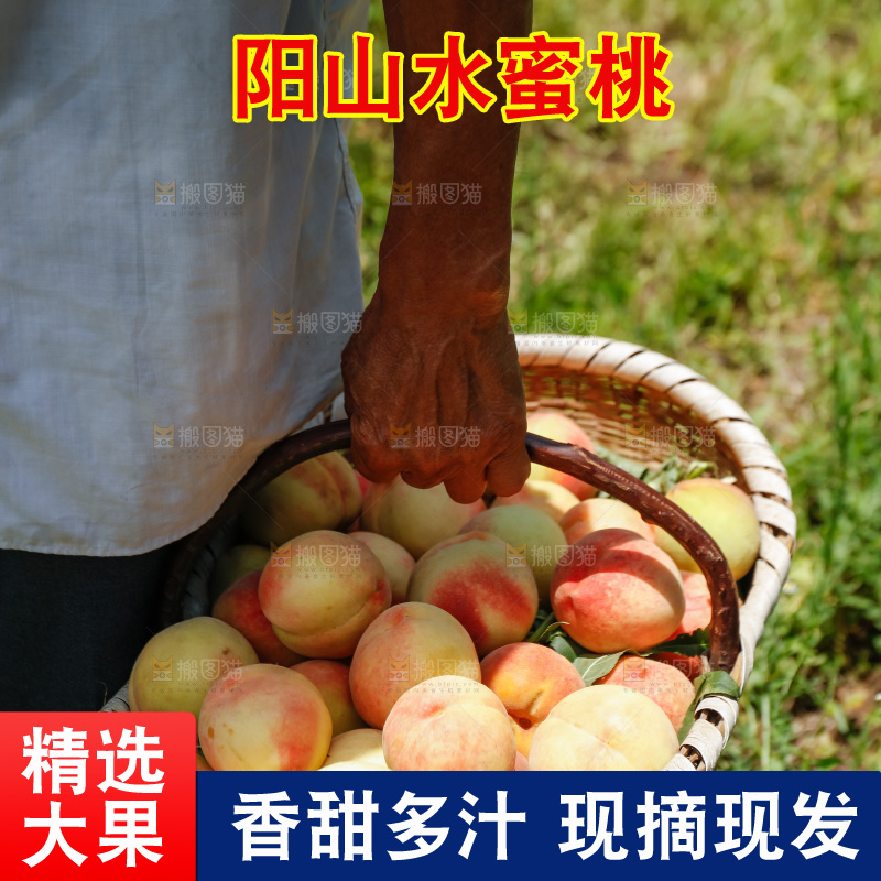 手里拿着现摘水蜜桃