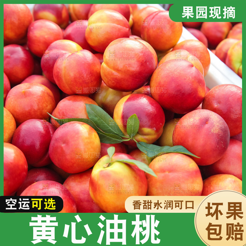 现摘的新鲜黄心油桃