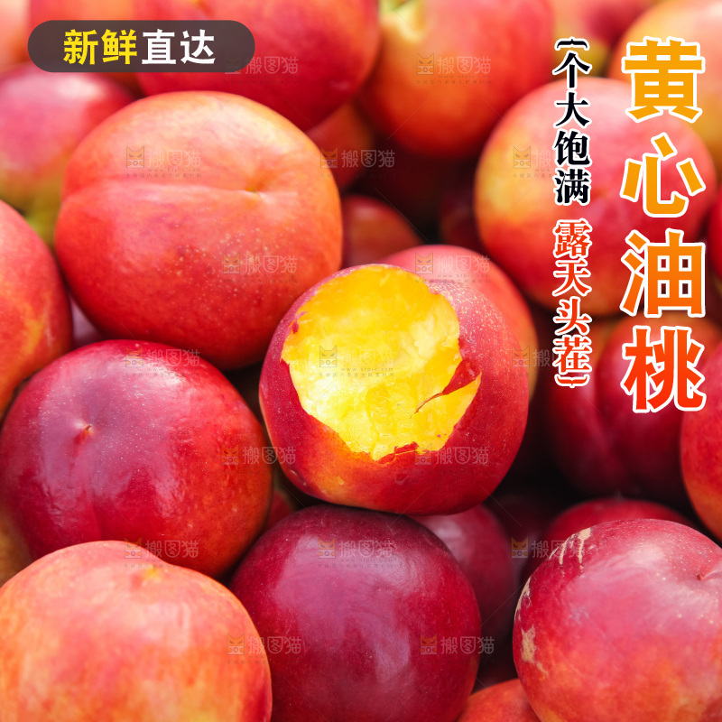 现摘的新鲜黄心油桃