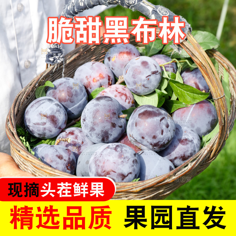 新鲜现摘黑布林
