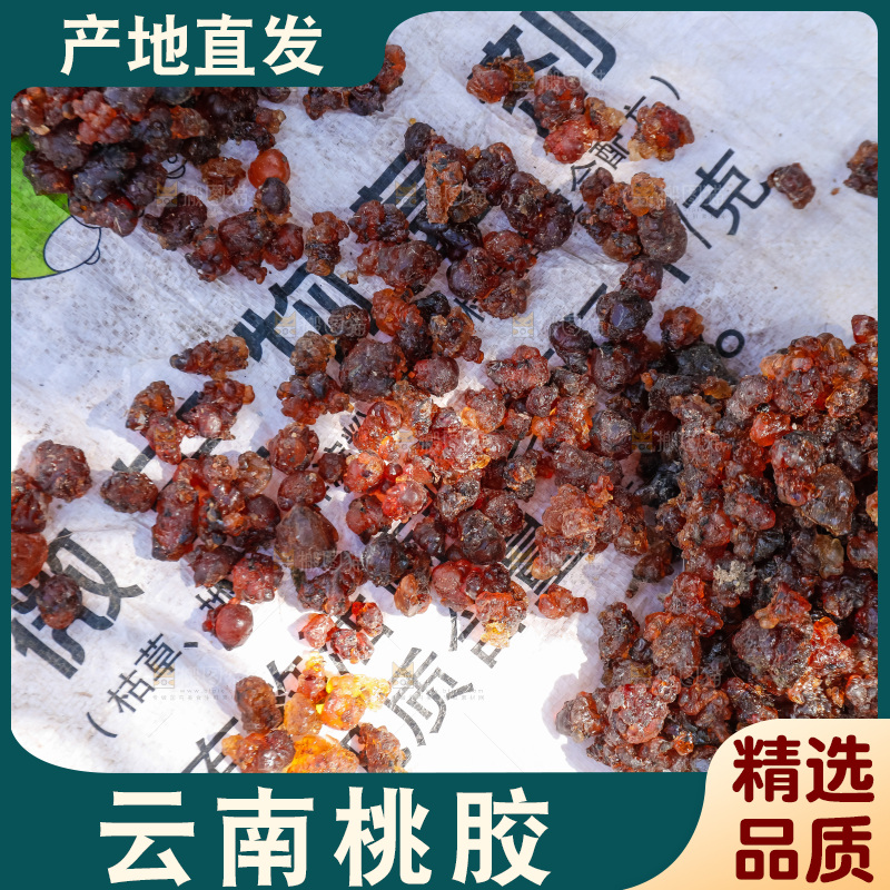 堆放着的现摘桃胶