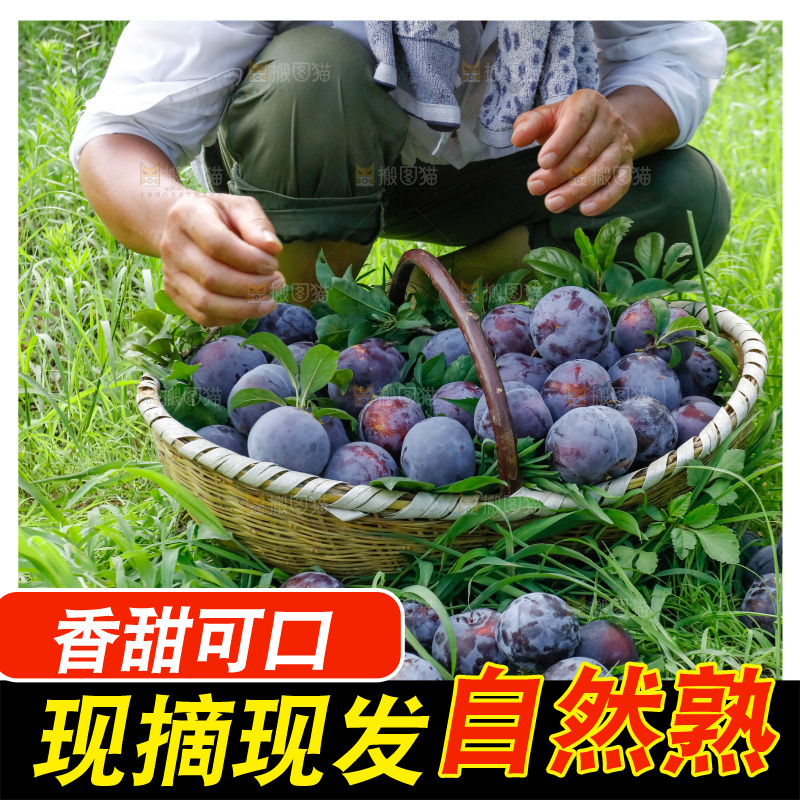 新鲜现摘黑布林