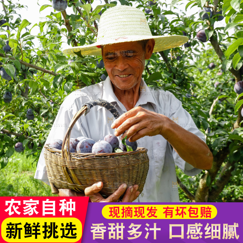 新鲜现摘黑布林