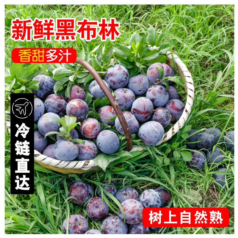 新鲜现摘黑布林