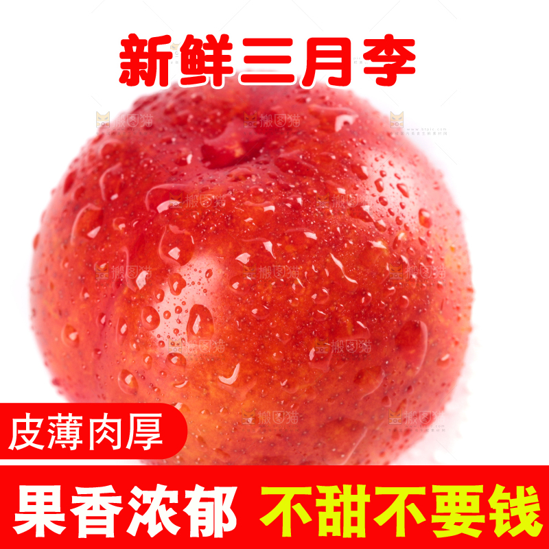 白底上的三月李