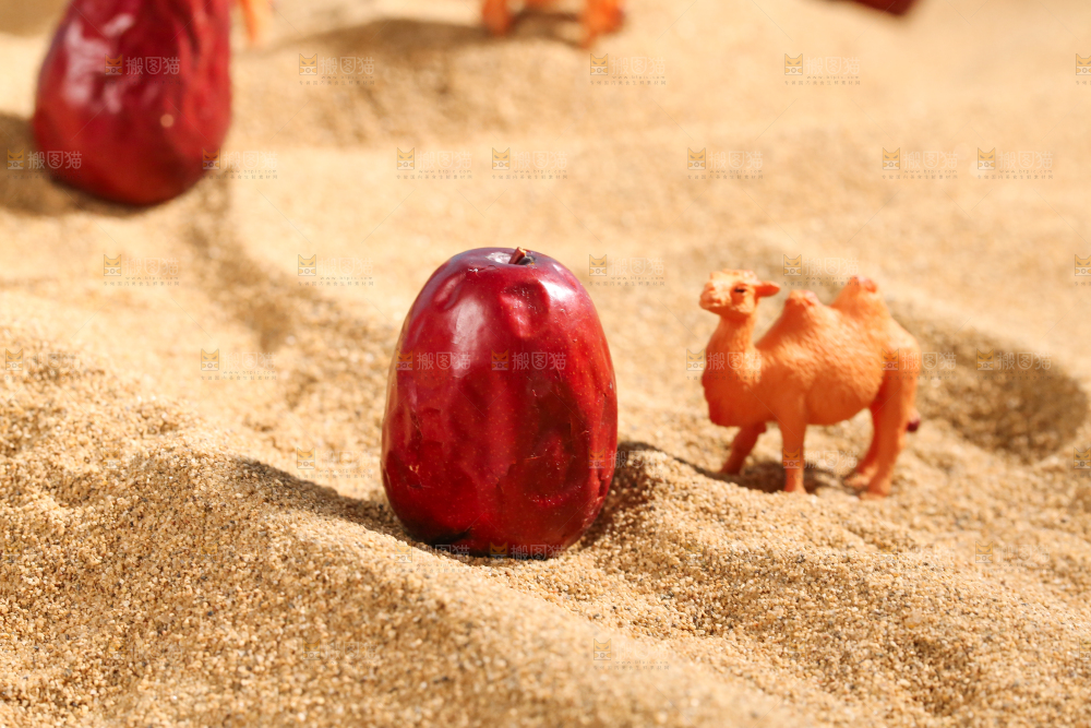 浅底上的红枣