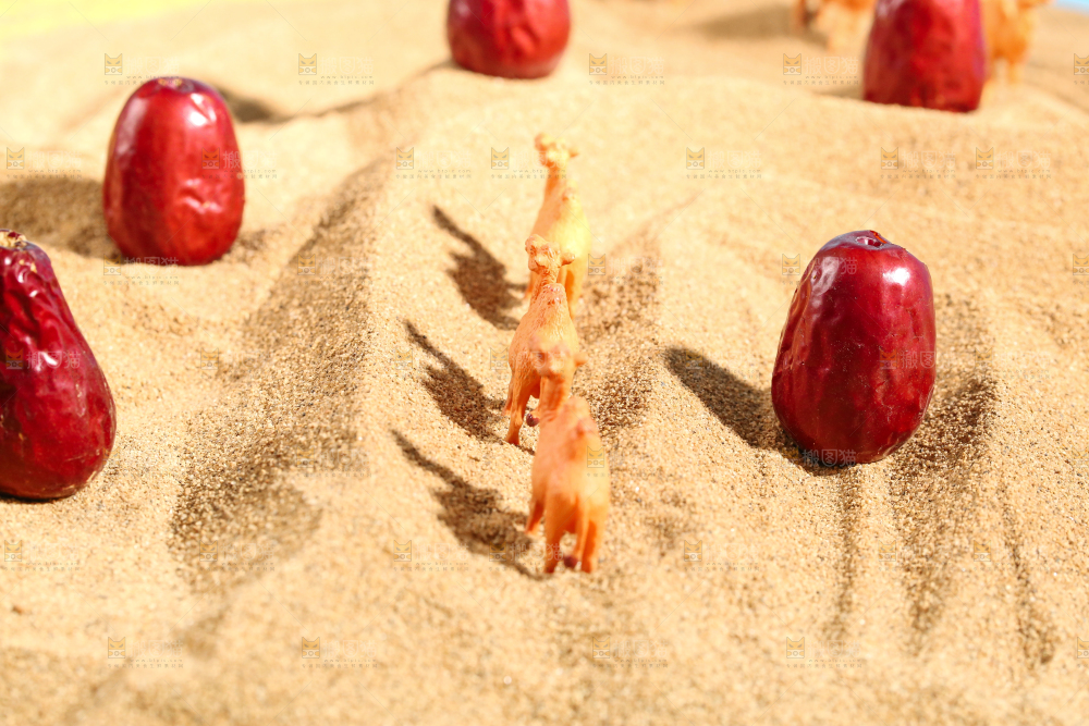 浅底上的红枣
