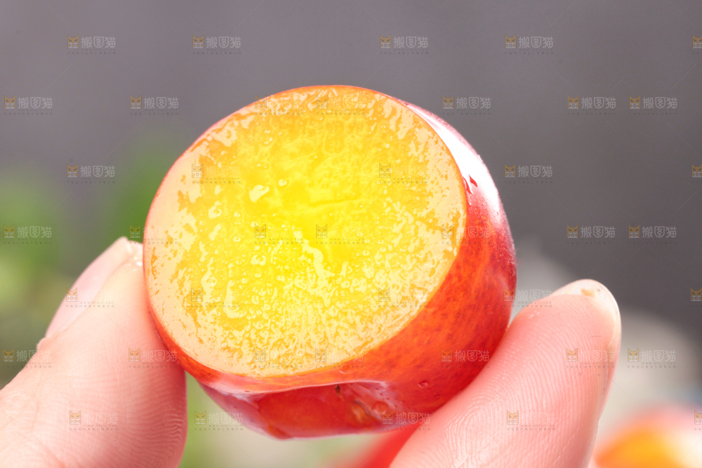 浅底上的三月李