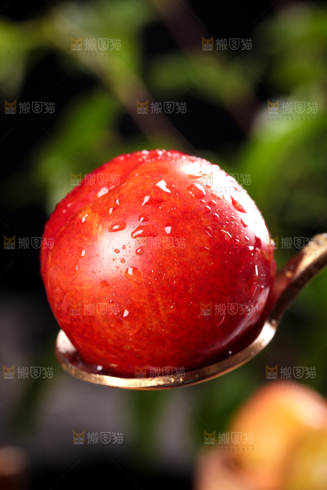 深底上的三月李