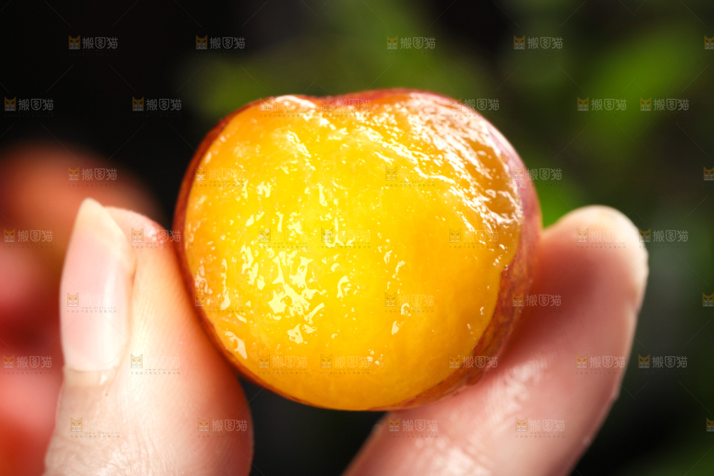 深底上的三月李