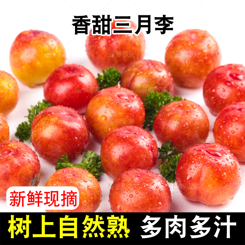 白底上的三月李