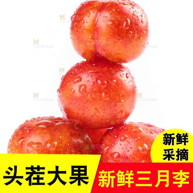 白底上的三月李