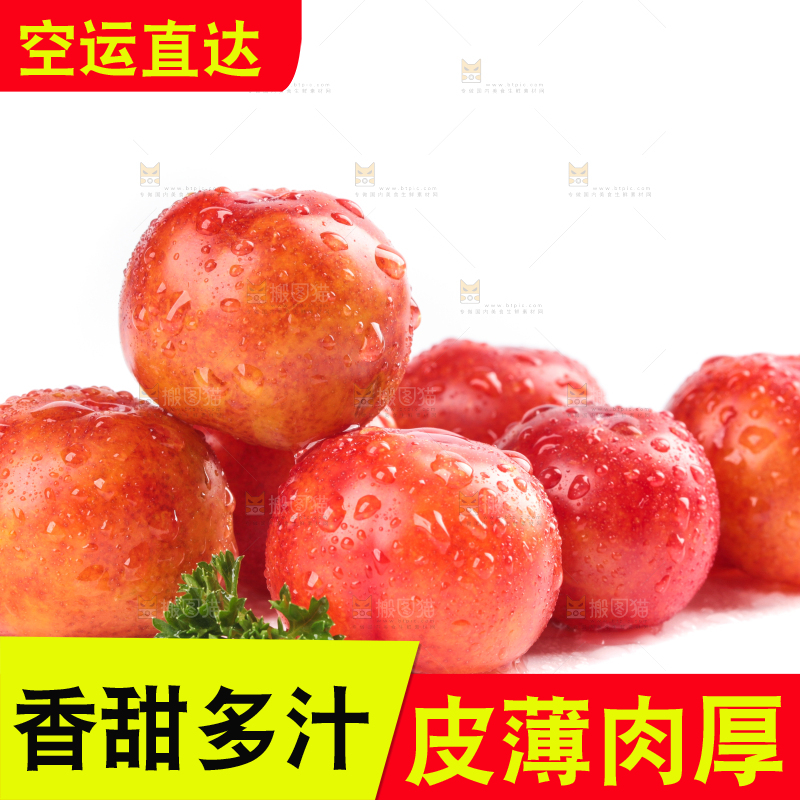 白底上的三月李