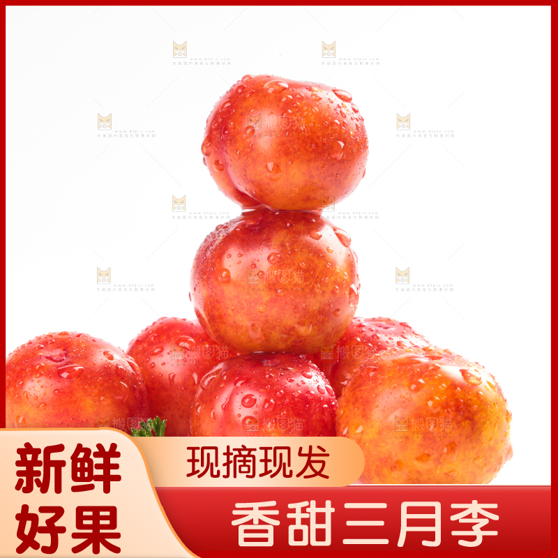 白底上的三月李