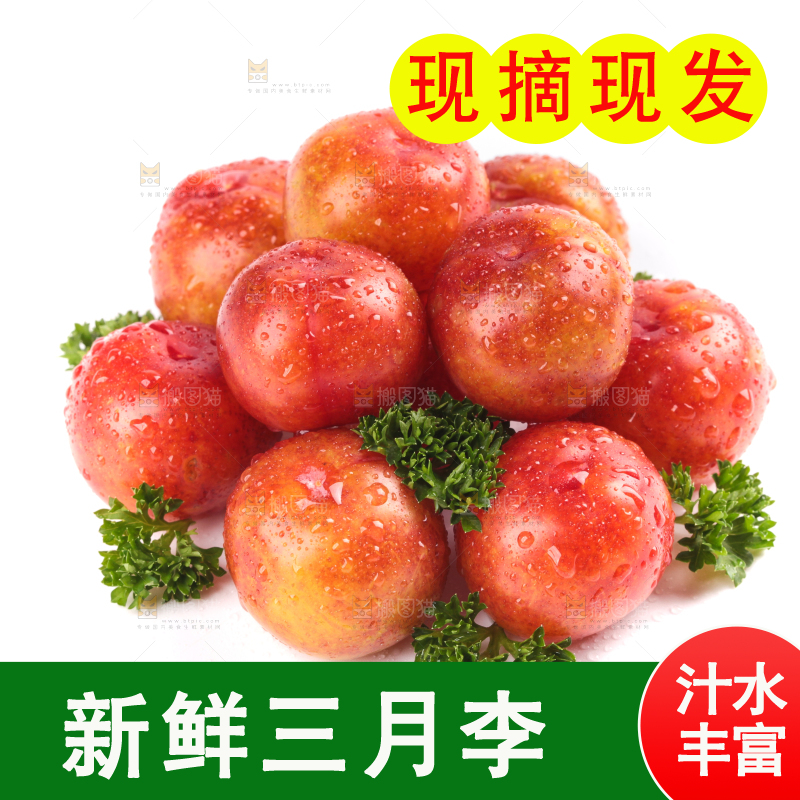 白底上的三月李