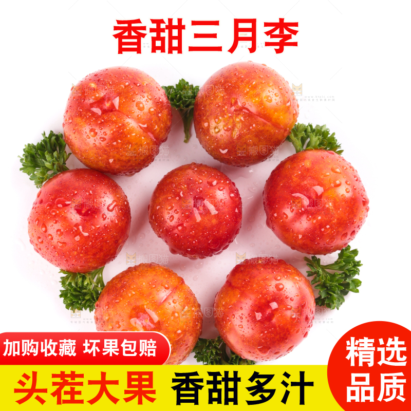白底上的三月李