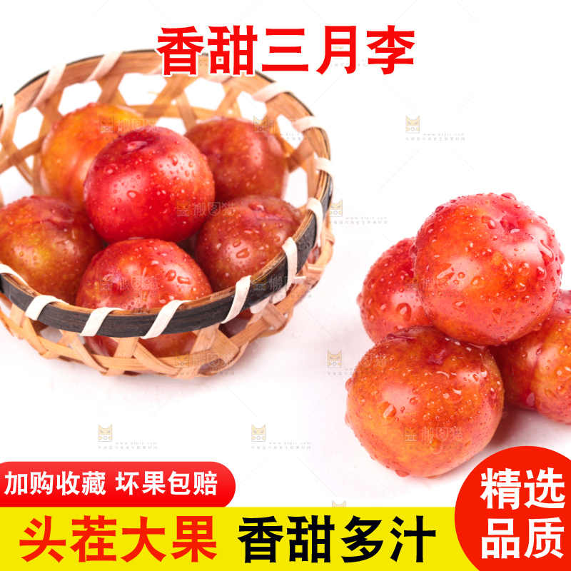 白底上的三月李