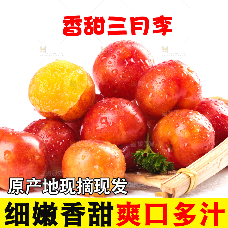 白底上的三月李