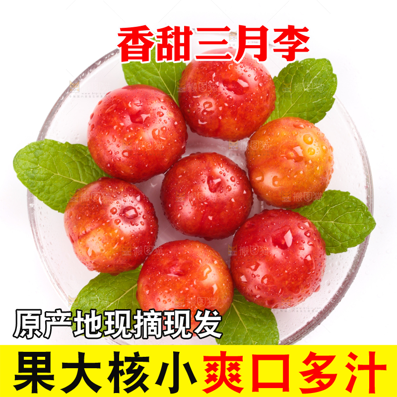 白底上的三月李