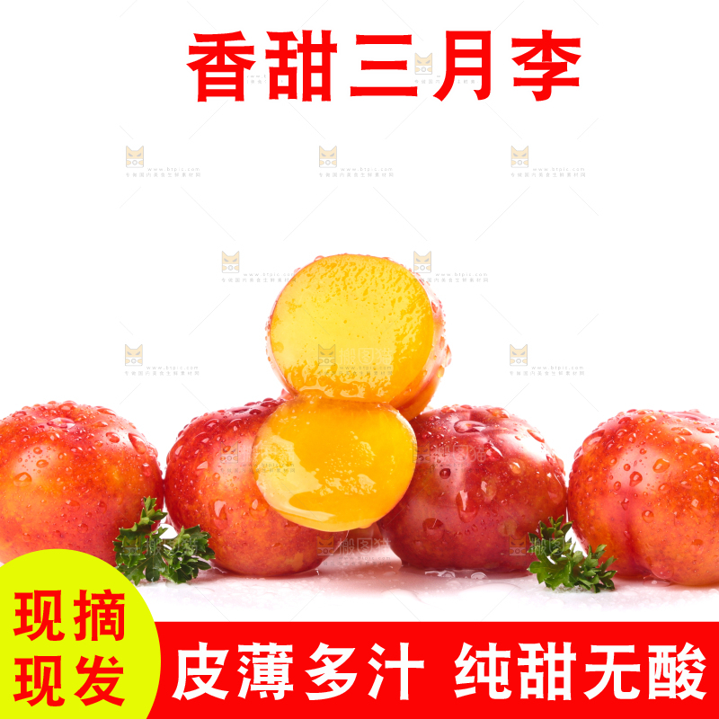 白底上的三月李