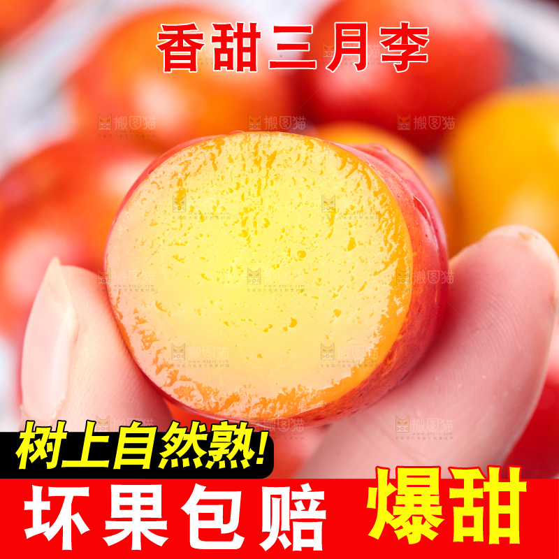 浅底上的三月李