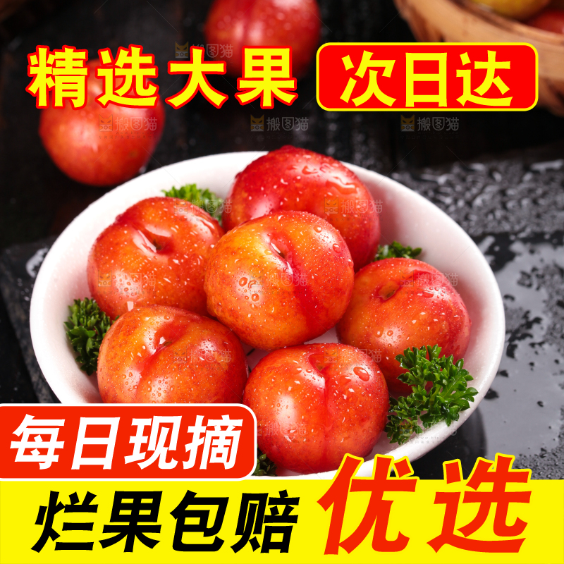 深底上的三月李