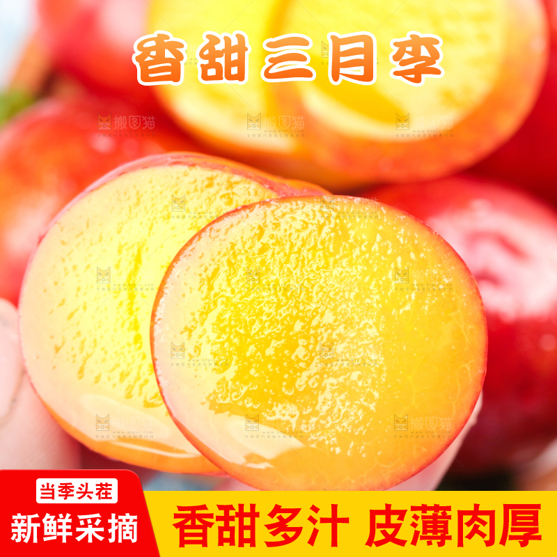 浅底上的三月李
