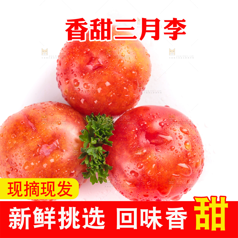 白底上的三月李