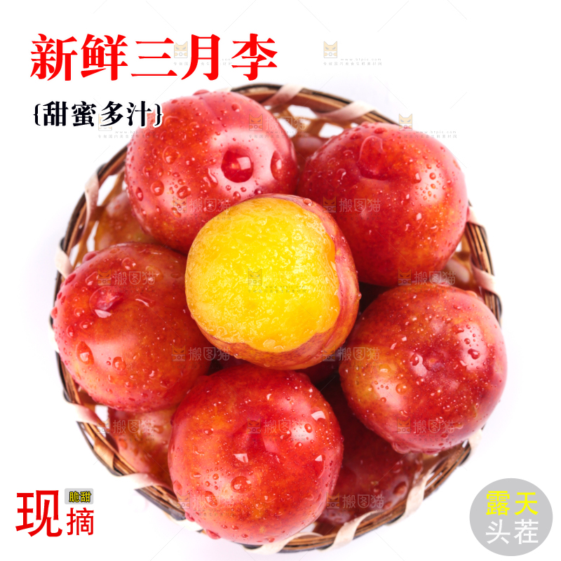 白底上的三月李