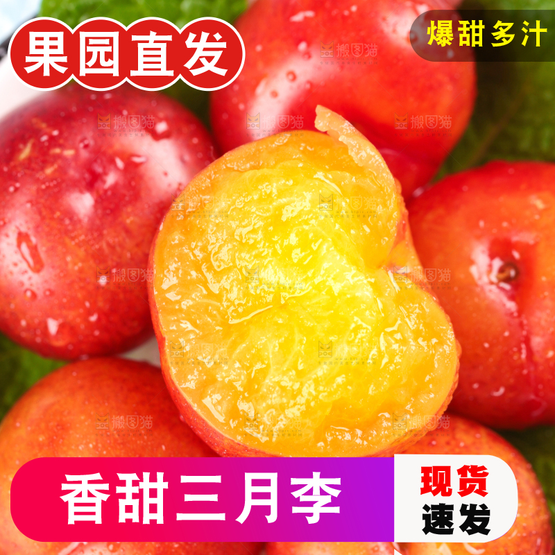 浅底上的三月李