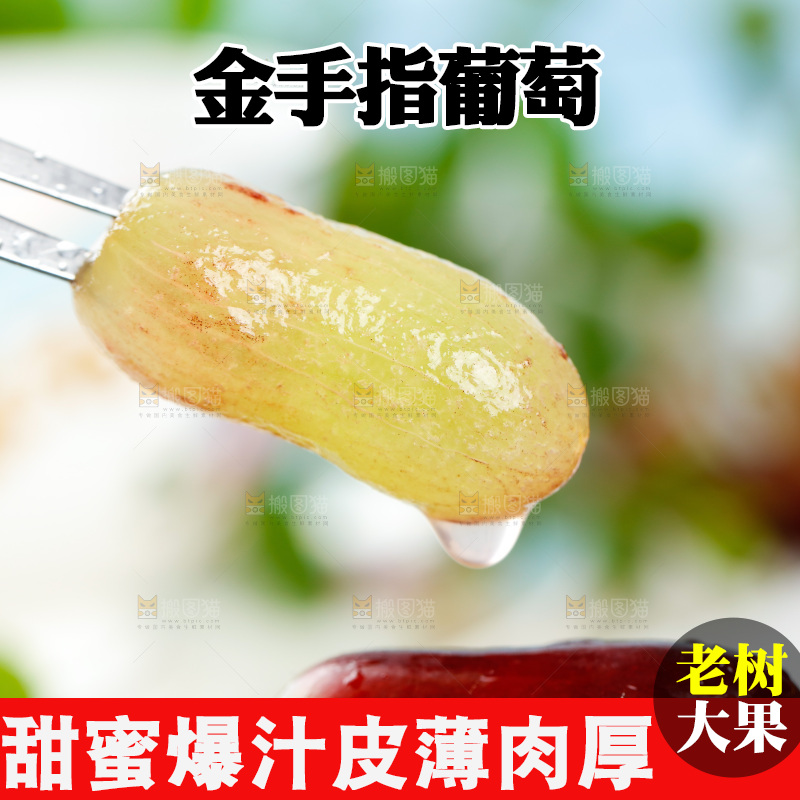 浅底上的金手指葡萄