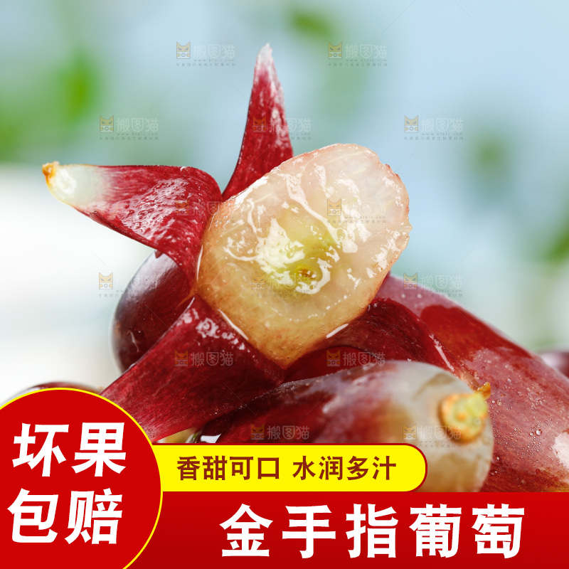 浅底上的金手指葡萄