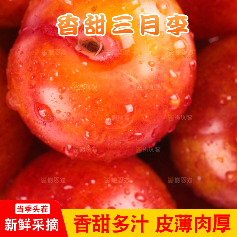 白底上的三月李