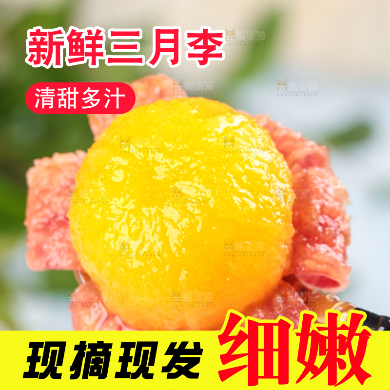 浅底上的三月李