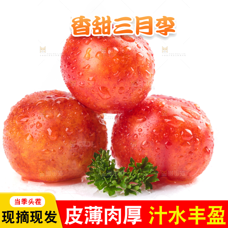 白底上的三月李